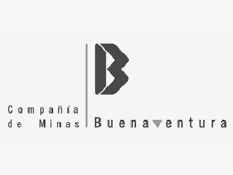 logo (8)
